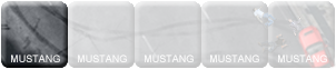 Illustration for article titled Threat Level: Mustang